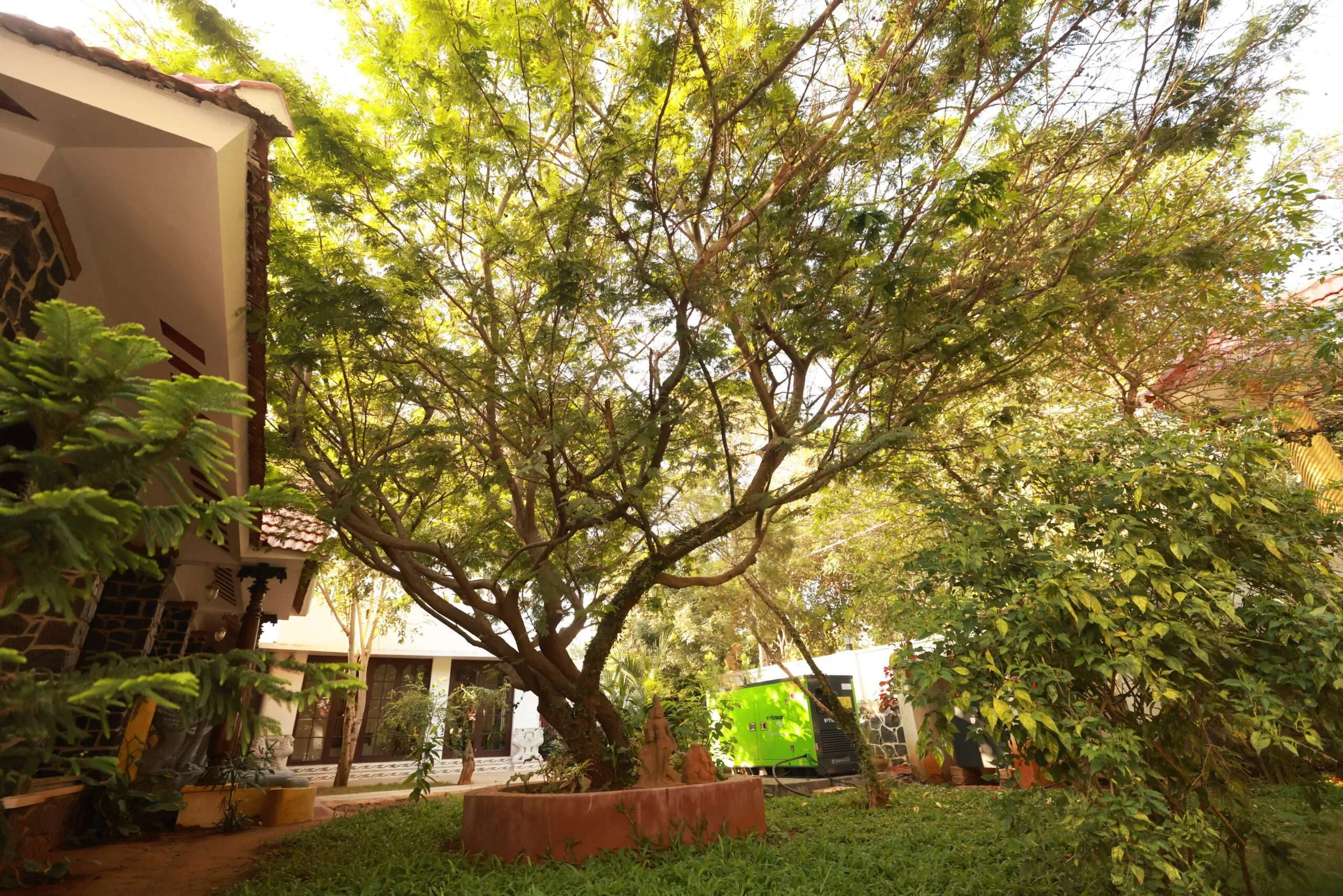 Lush Tropical Garden Lawns & Canopy Trees